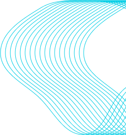 about-shape-3-3 about-shape-3-3